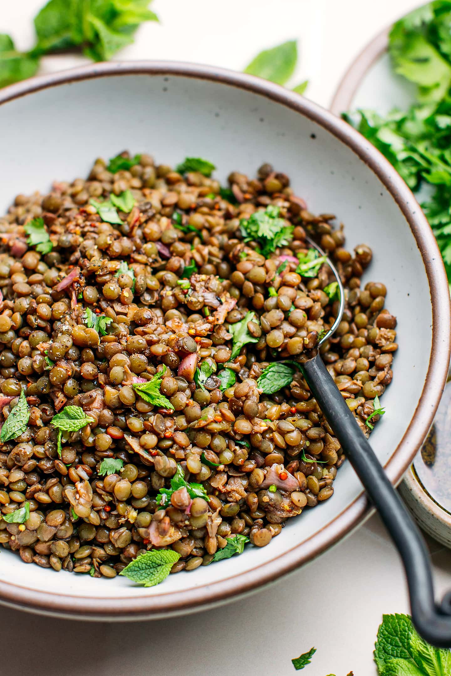 Close-up of green lentil salad.