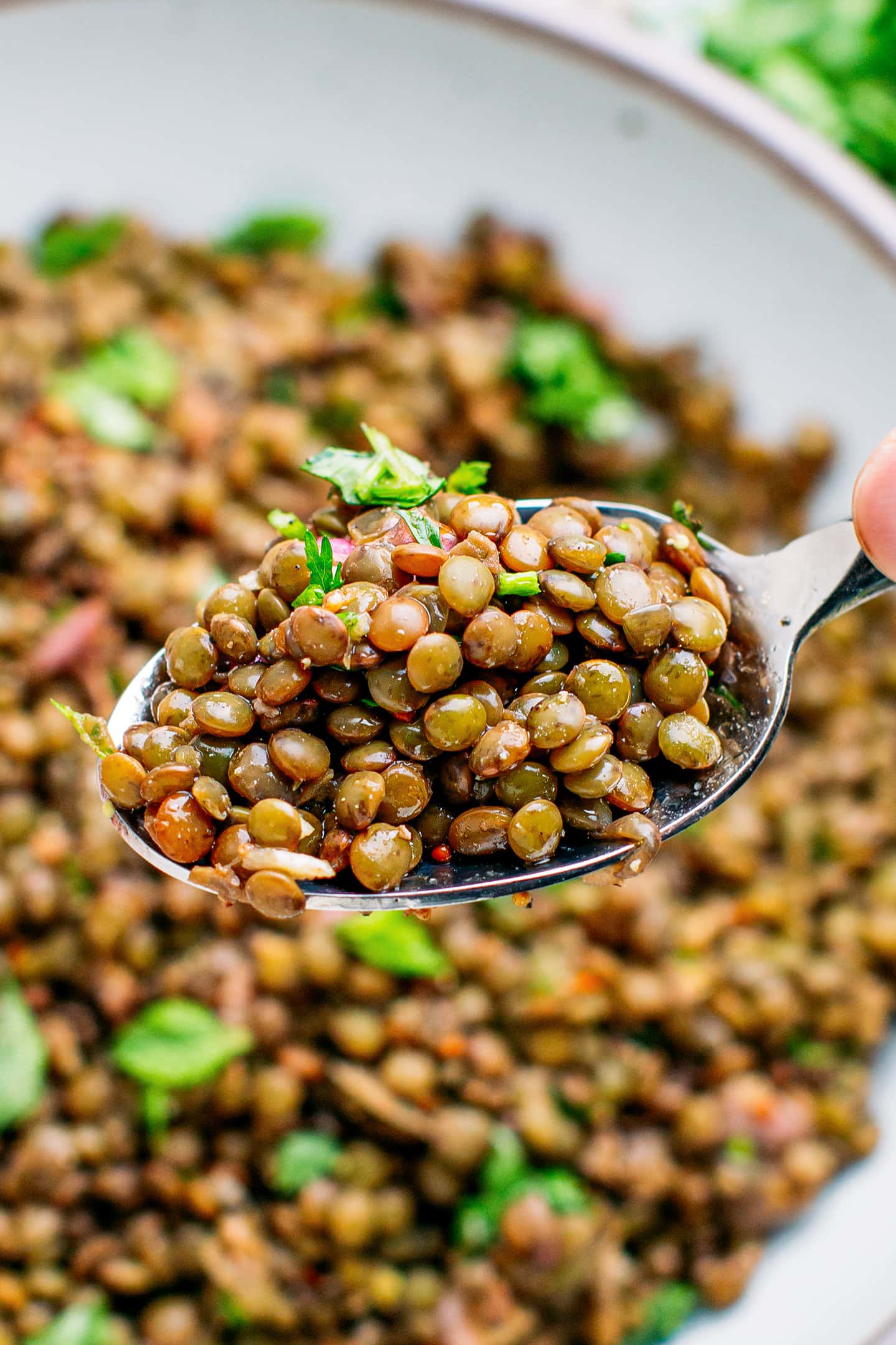 Spoonful of green lentil salad.