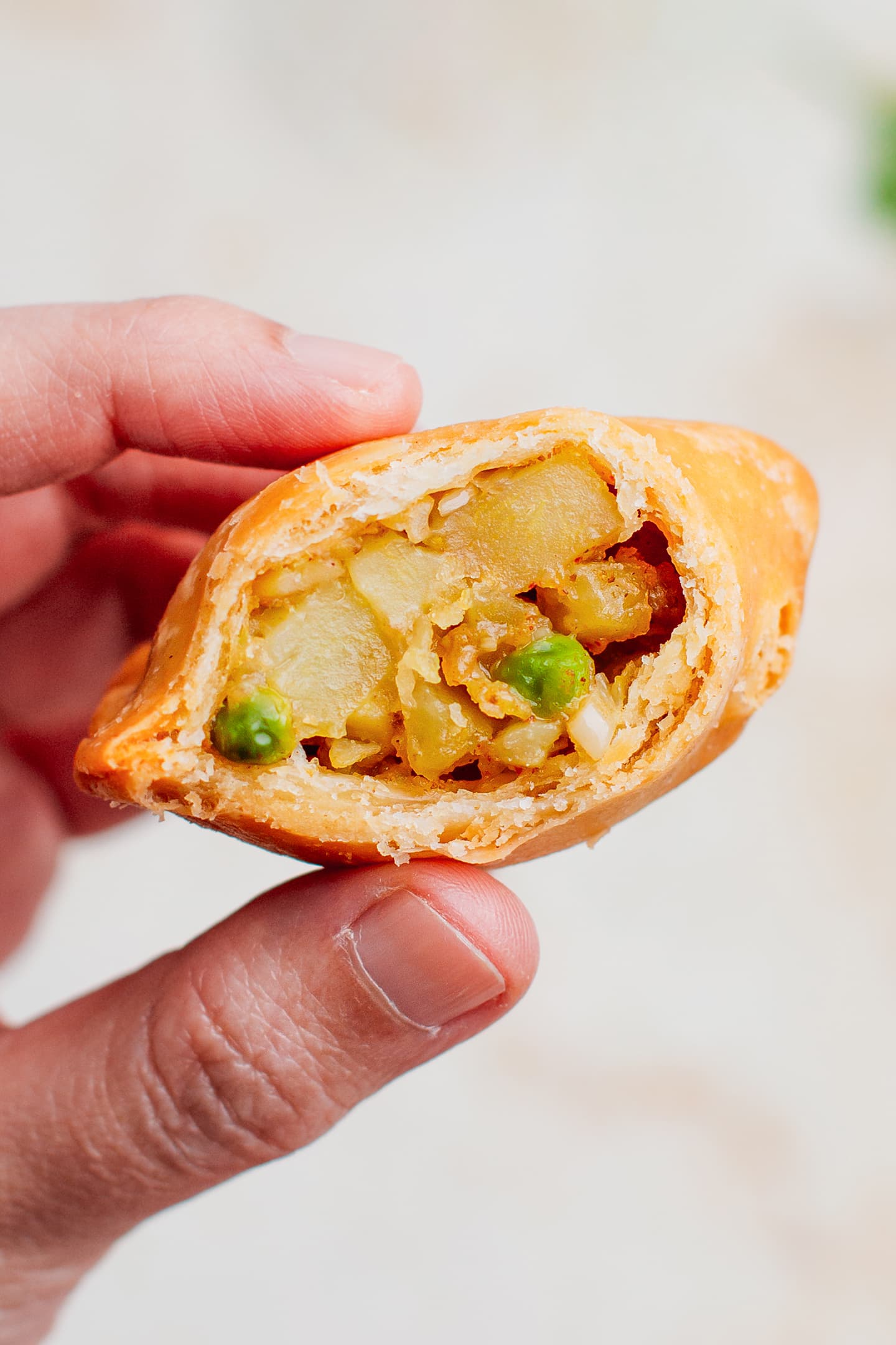 Close-up photo of the filling of a samosa.