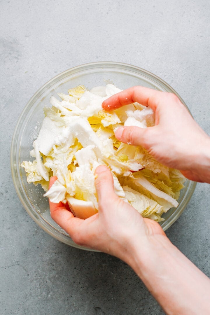 Coating Napa cabbage with salt.