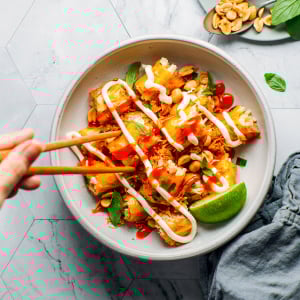 Spicy Jackfruit Spring Rolls with Mayo Drizzle