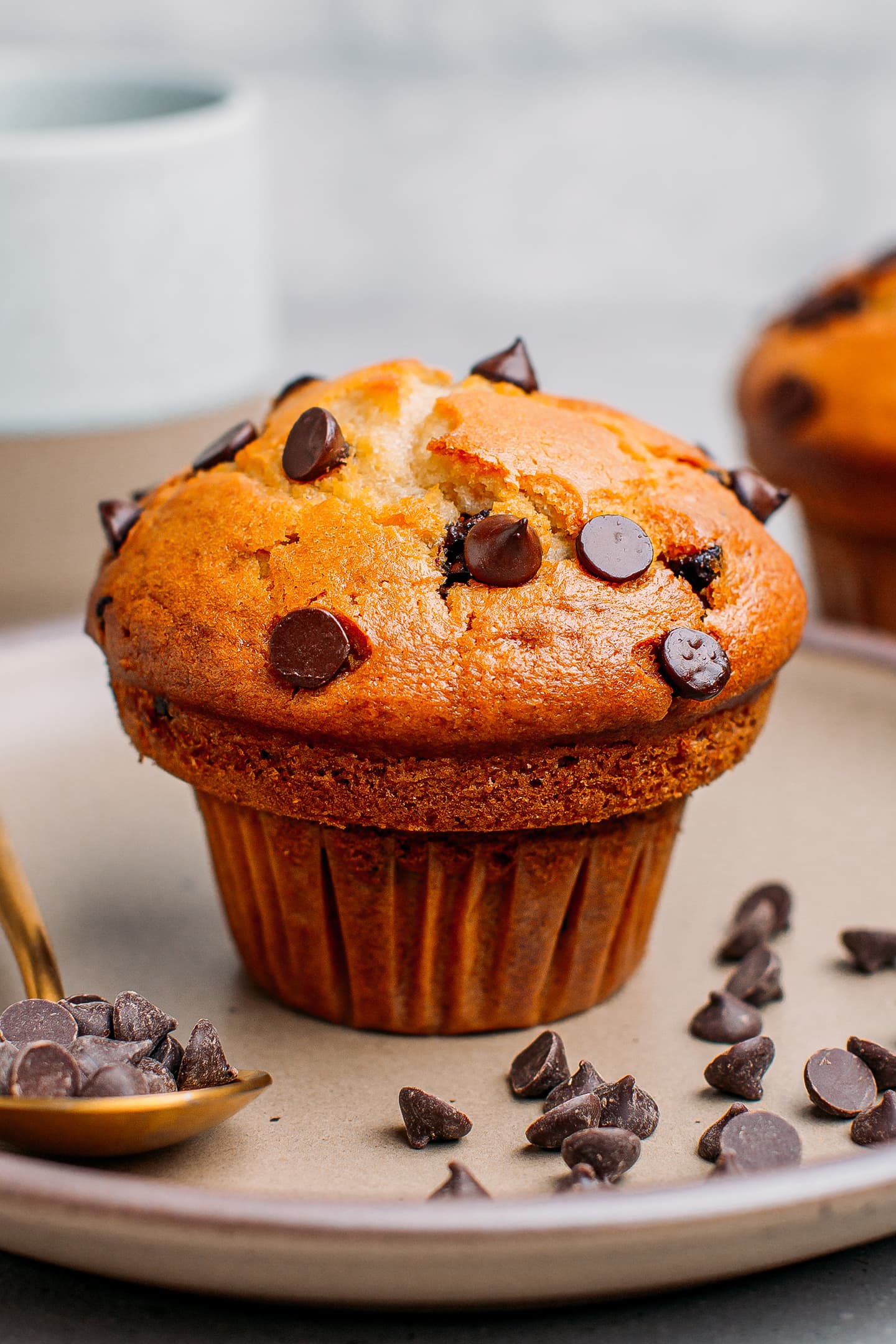 Bite in a muffin with dark chocolate chips.
