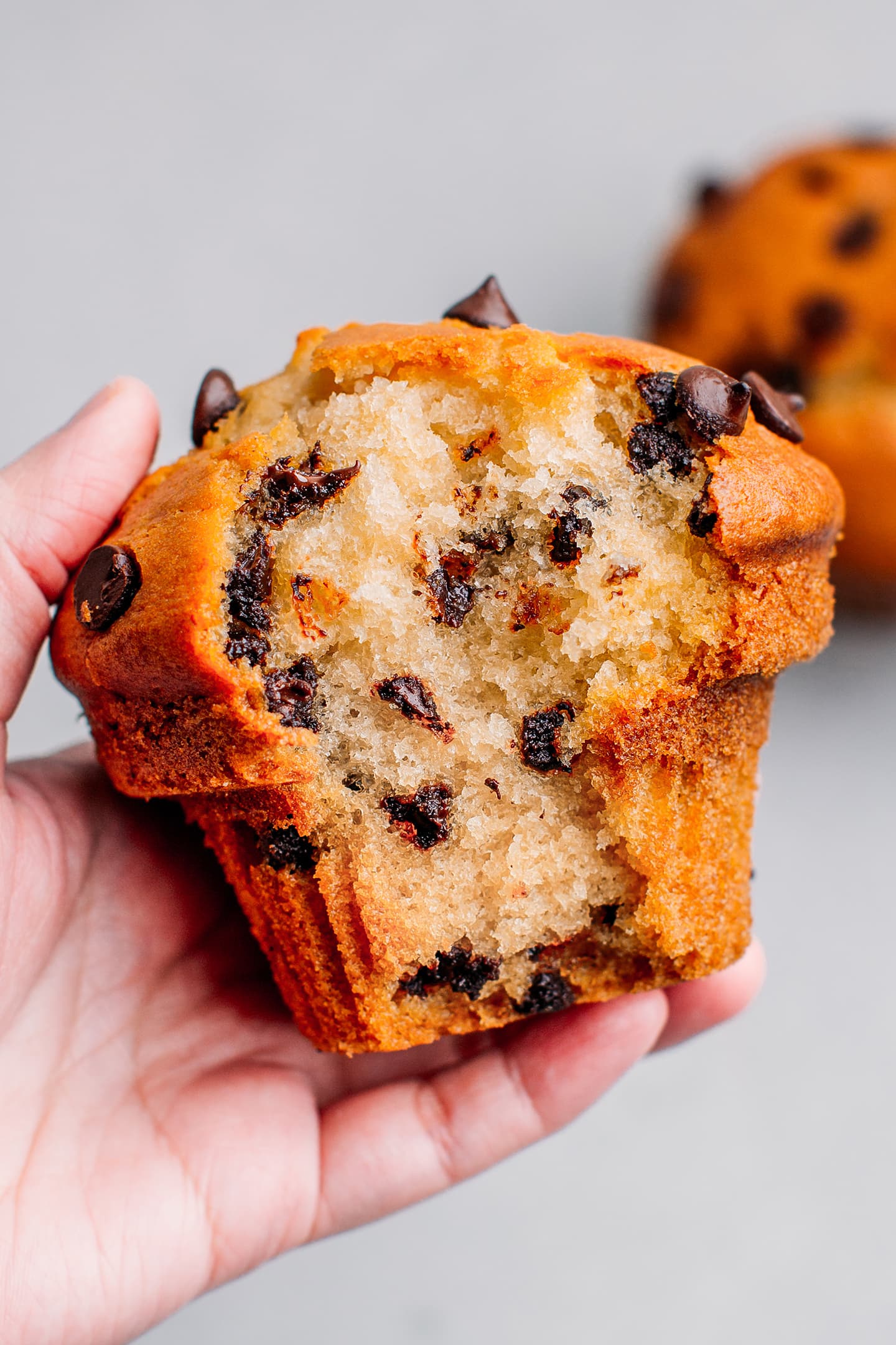 Vegan eggless chocolate chip muffin.