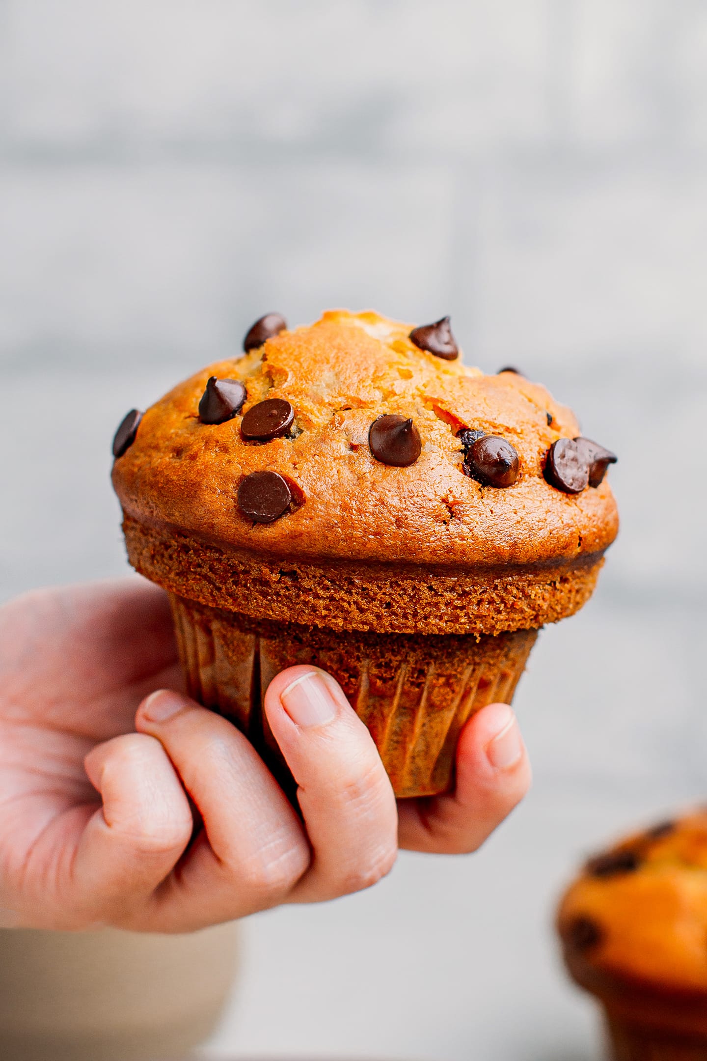 Close up of a dark chocolate chip vegan muffin.