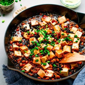 Tofu in Soybean Sauce