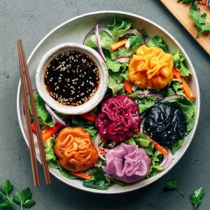 Black Bean Tofu Rainbow Dumplings