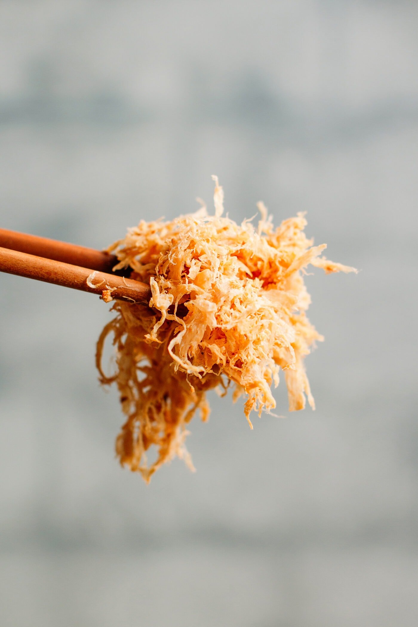 Close up of fluffy meat floss.