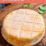 Vegan Washed-Rind Cheese