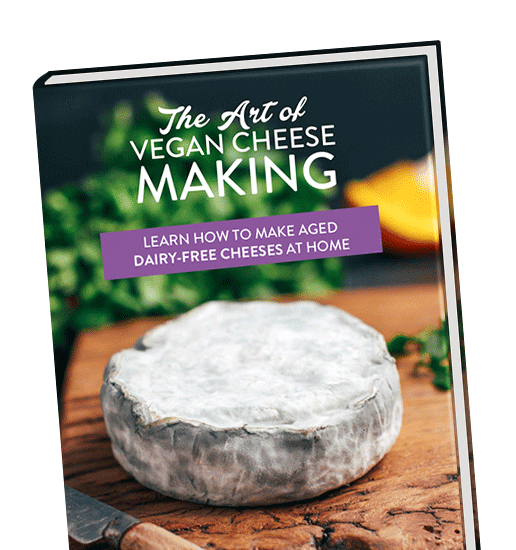 Vegan cheese ebook.